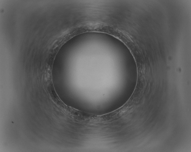 X0000073711349200608171128