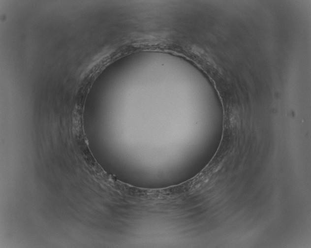 X0000073711350200608171128