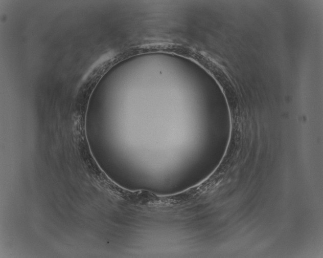 X0000073711351200608171128