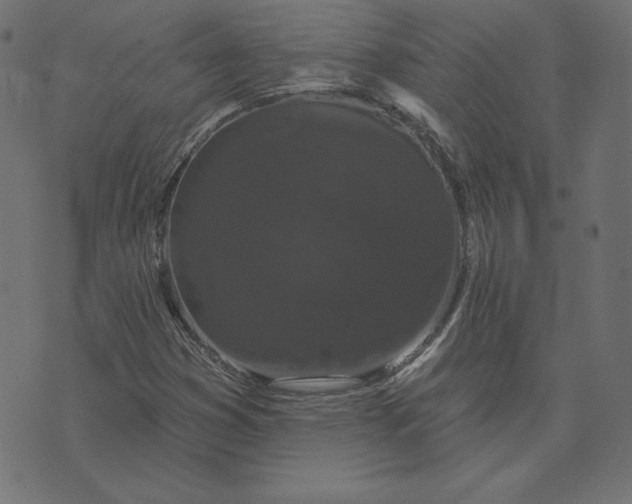 X0000073711353200608171128