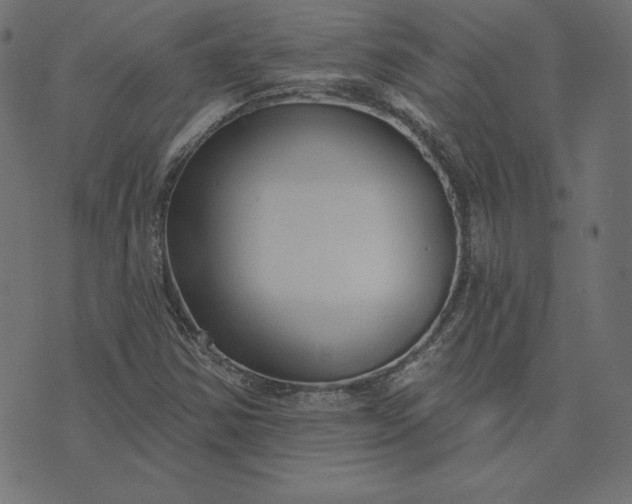 X0000073711354200608171128