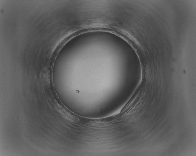 X0000073711356200608171128