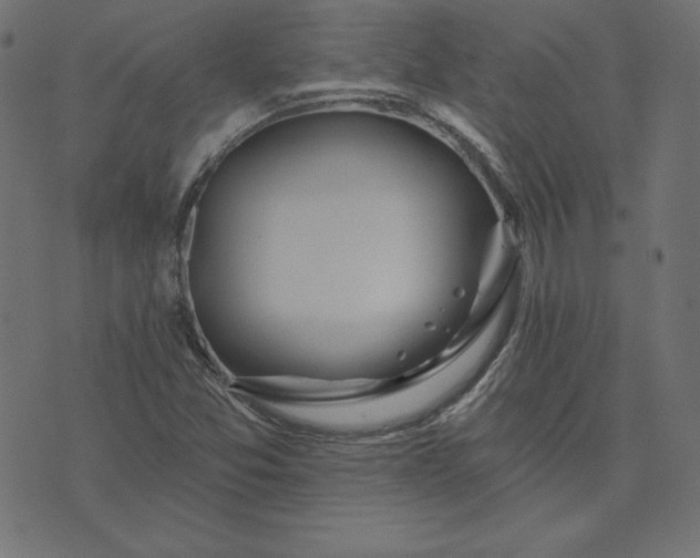 X0000073711357200608171128