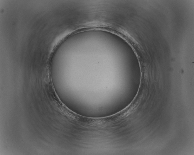 X0000073711358200608171128