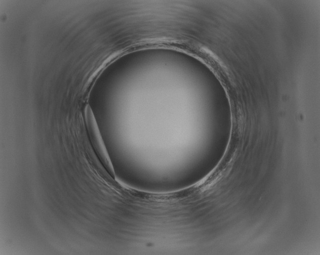 X0000073711361200608171127