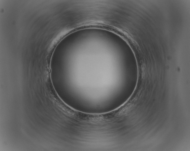 X0000073711363200608171127