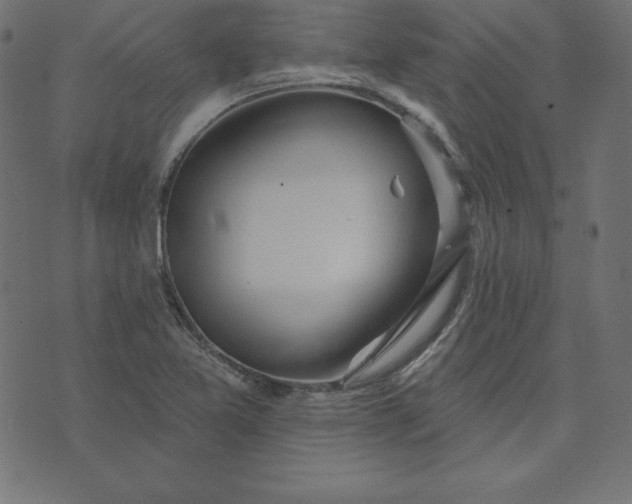 X0000073711365200608171127