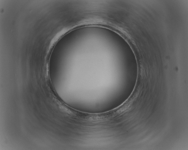 X0000073711366200608171127