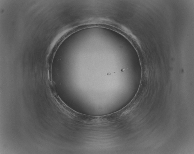 X0000073711368200608171127