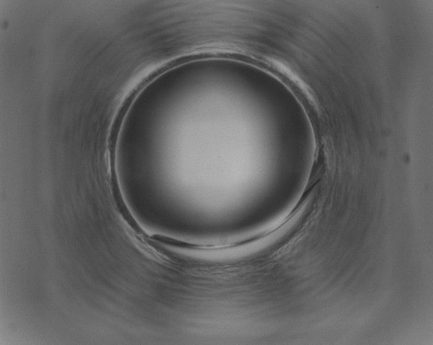 X0000073711372200608171127