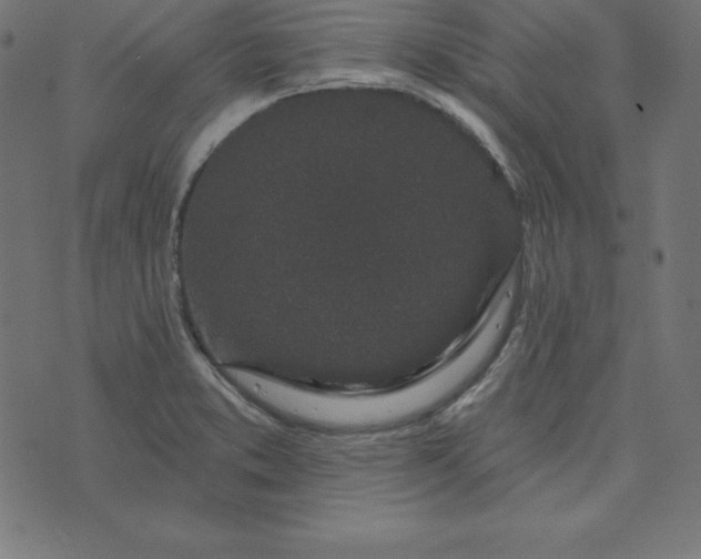 X0000073711373200608171127