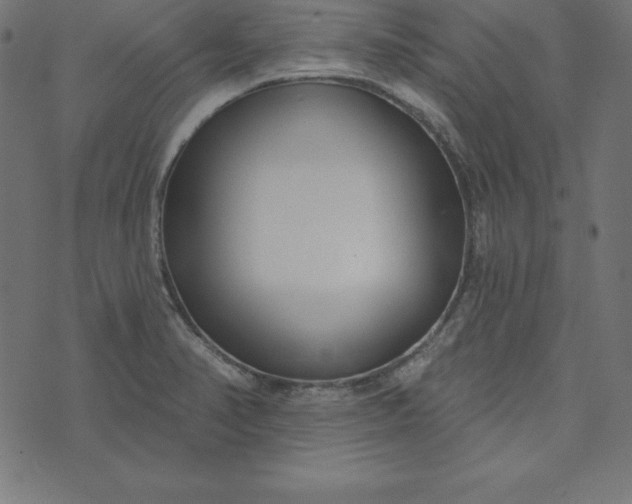 X0000073711374200608171127