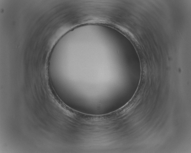 X0000073711375200608171127