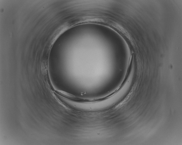 X0000073711377200608171127