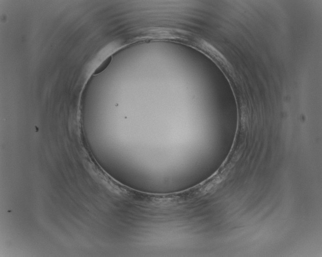 X0000073711378200608171127