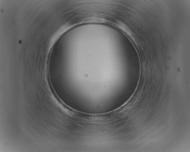 X0000073711379200608171127