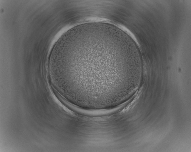 X0000073711381200608171127