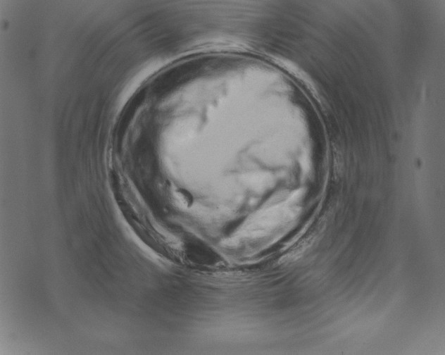 X0000073711383200608171127