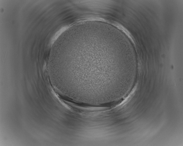 X0000073711385200608171127