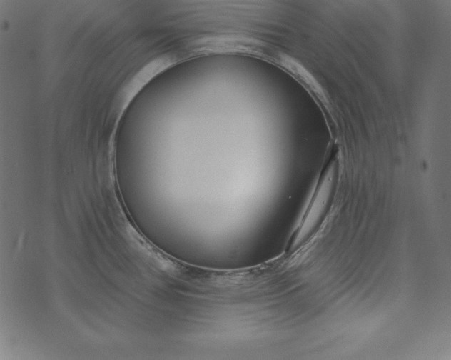 X0000073711386200608171127