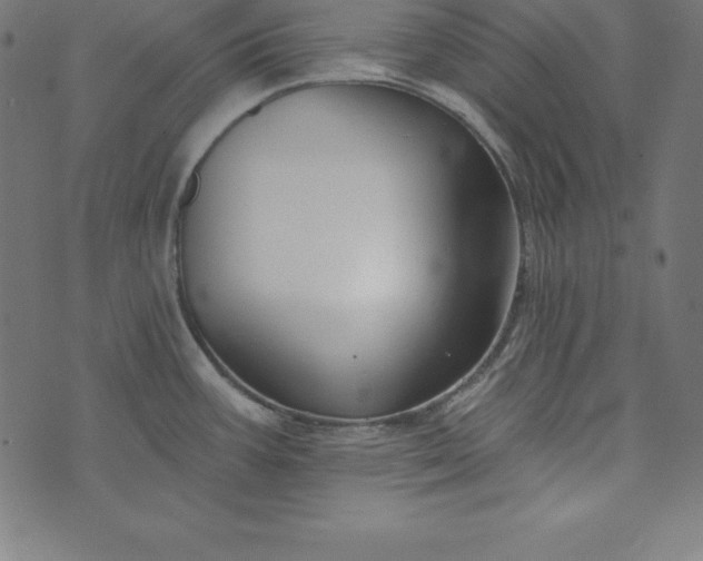 X0000073711387200608171127