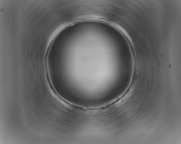 X0000073711389200608171127