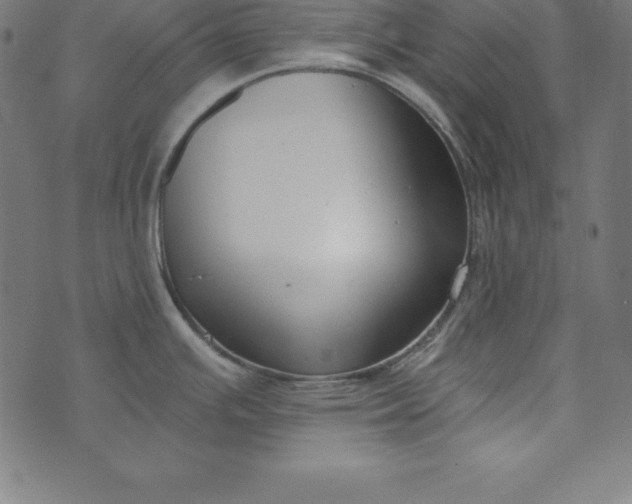 X0000073711391200608171127