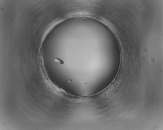 X0000073711392200608171127