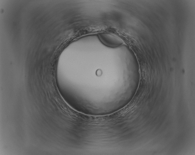 X0000073711393200608171126