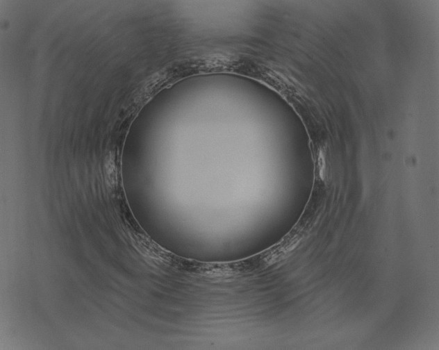 X0000073711395200608171126