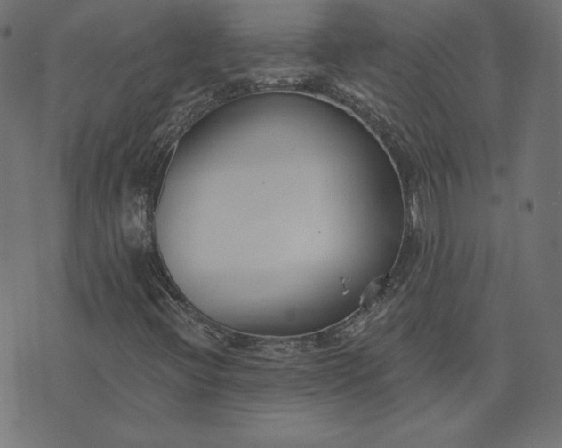 X0000073711396200608171126