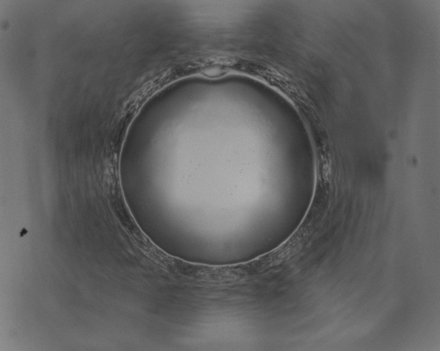 X0000073711397200608171126