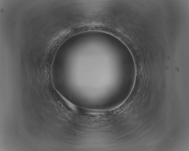 X0000073711398200608171126