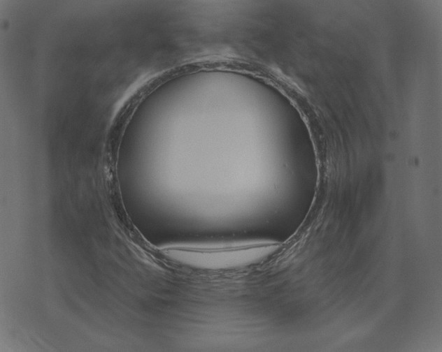 X0000073711400200608171126