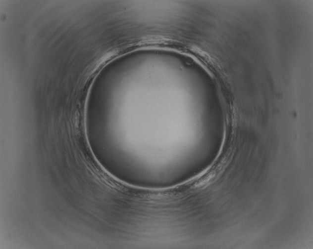 X0000073711401200608171126