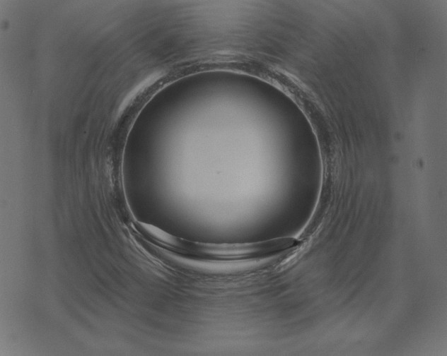 X0000073711402200608171126