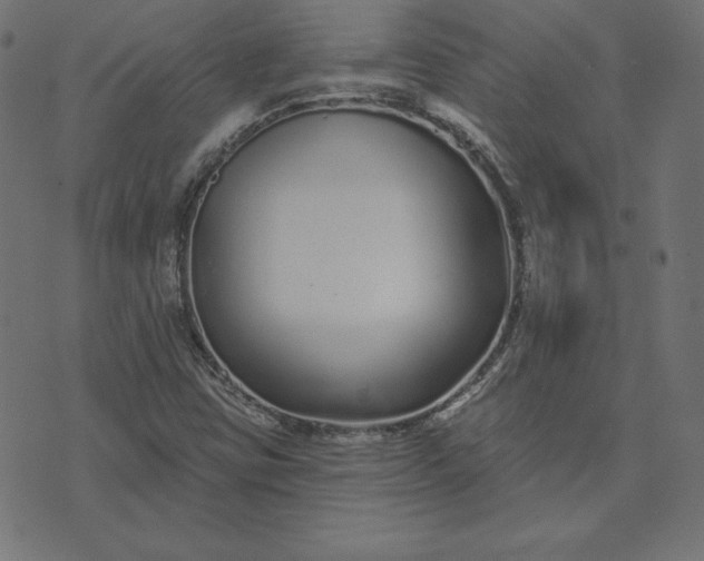 X0000073711403200608171126