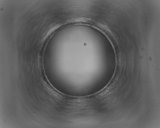 X0000073711404200608171126