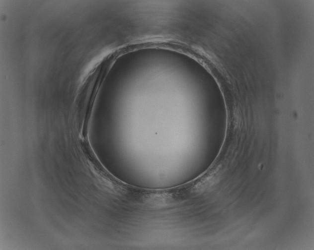 X0000073711406200608171126