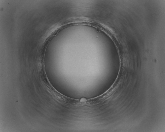 X0000073711407200608171126