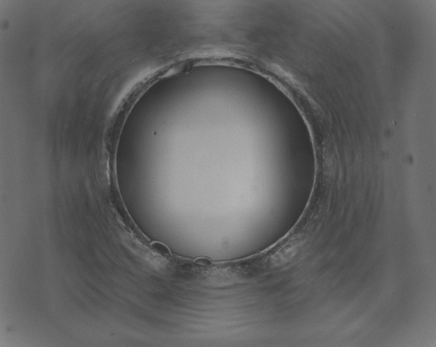 X0000073711408200608171126