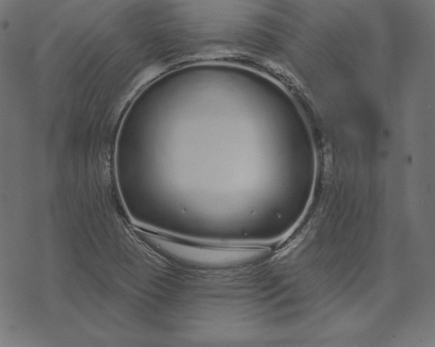 X0000073711409200608171126