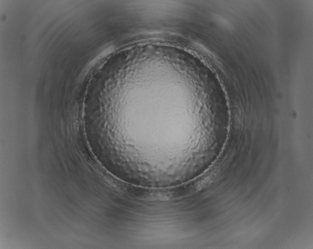 X0000073711411200608171126