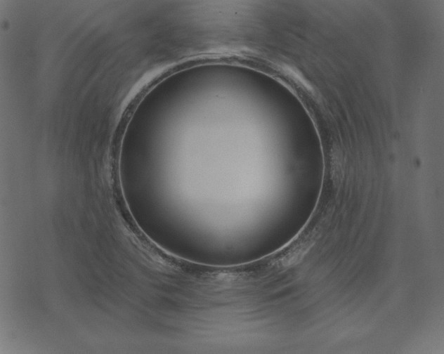 X0000073711412200608171126