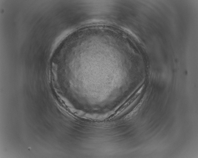 X0000073711413200608171127