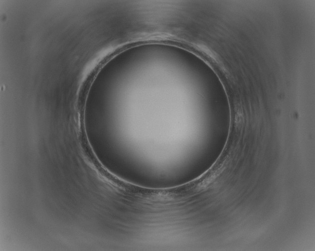 X0000073711414200608171127