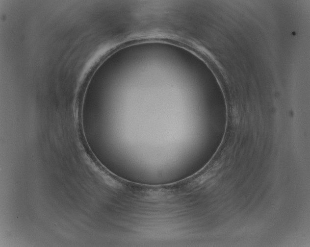 X0000073711416200608171127