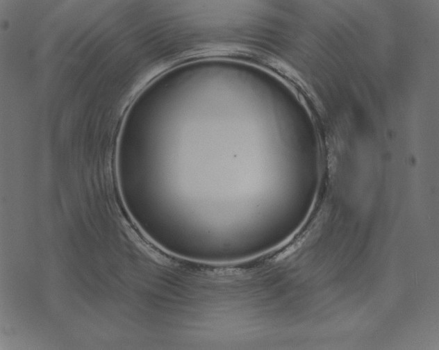 X0000073711417200608171127