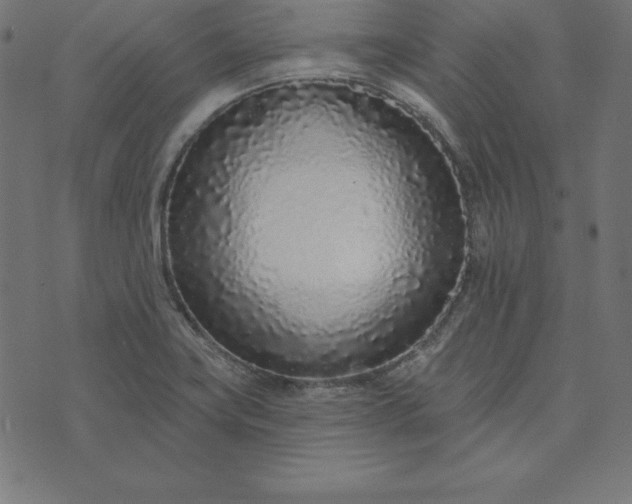 X0000073711419200608171127