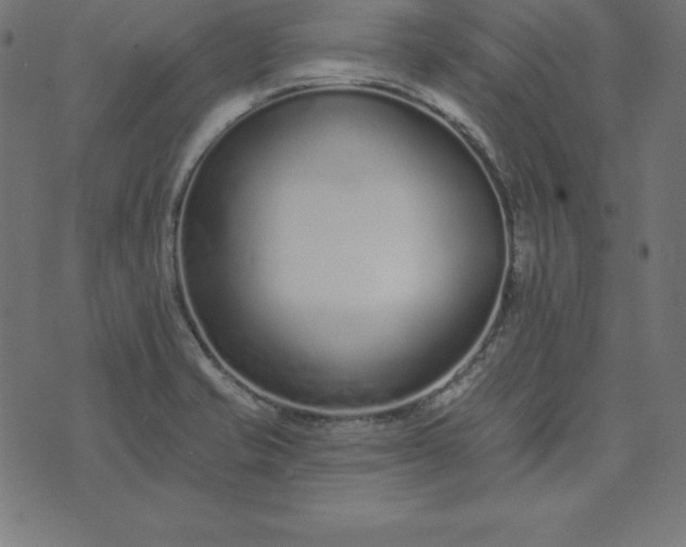 X0000073711421200608171127